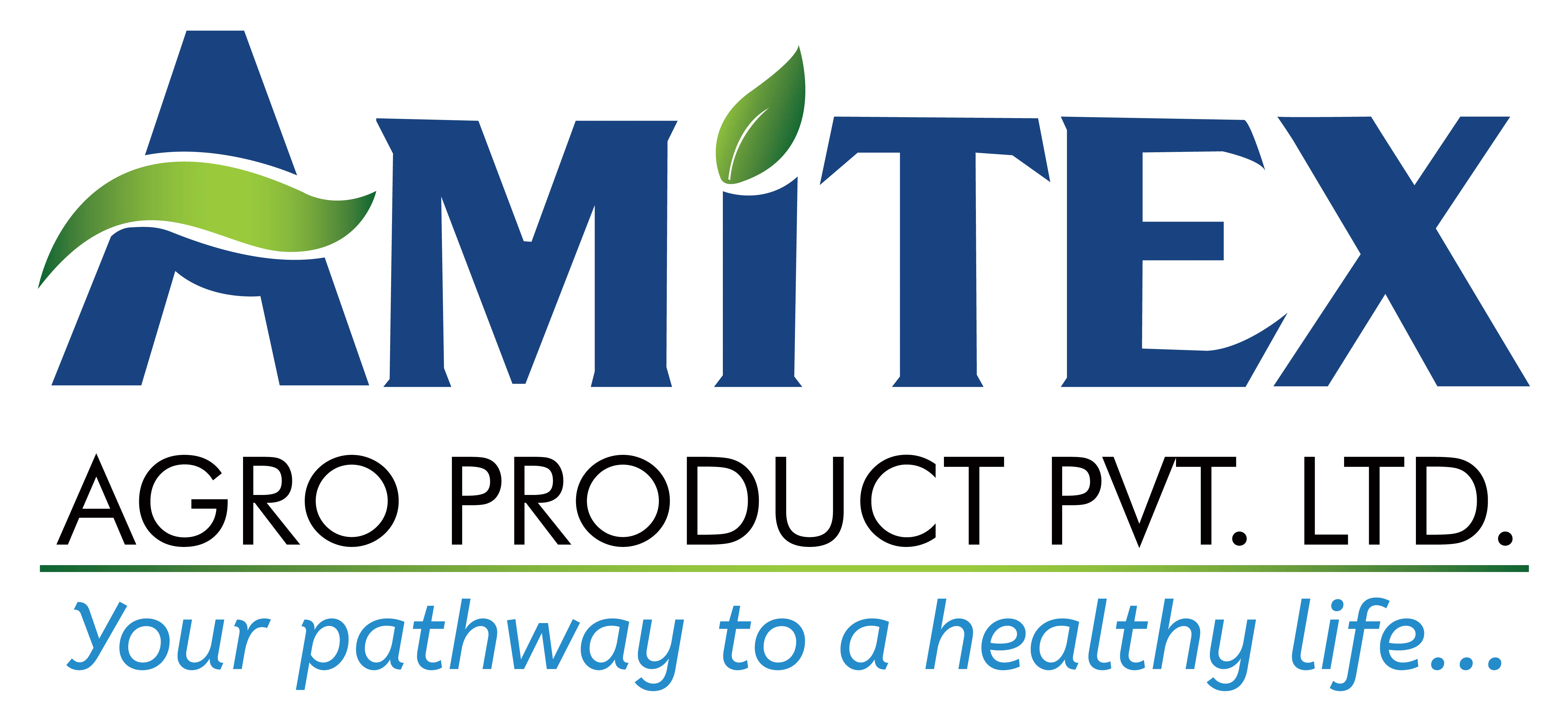 Amitex India